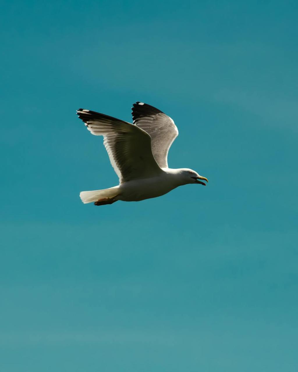 Feeling of freedom of&nbsp;choice